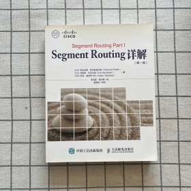 Segment Routing 详解 第一卷