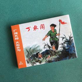广阔天地大有作为系列：丁敢闯 （ 上美 32开 大精装 连环画）