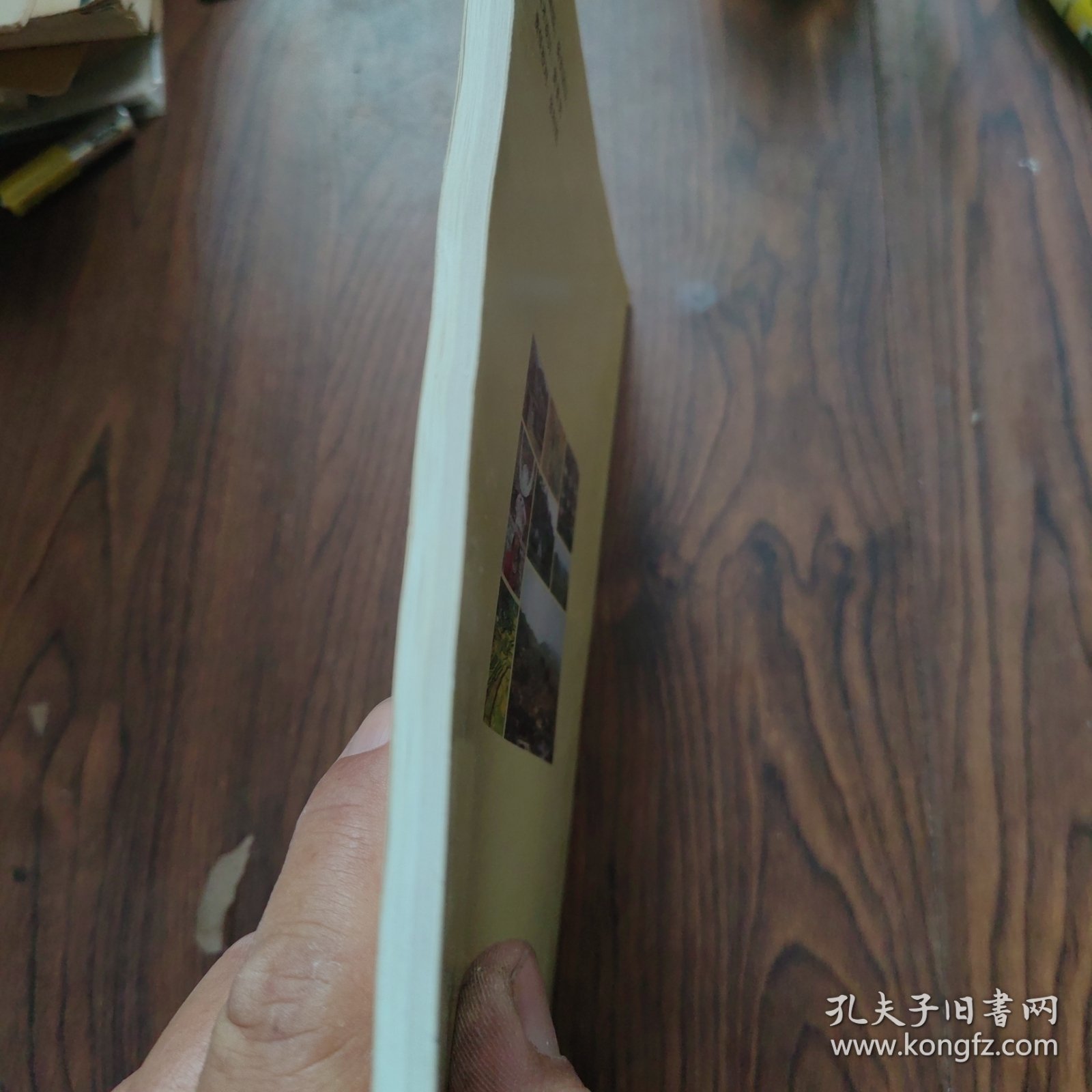苗医苗药 骨关节病