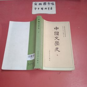 中国文学史（三）