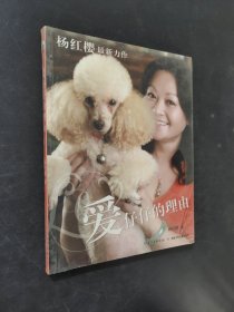 爱仔仔的理由