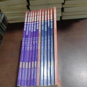 我的世界·冒险故事图画书第二辑1一12