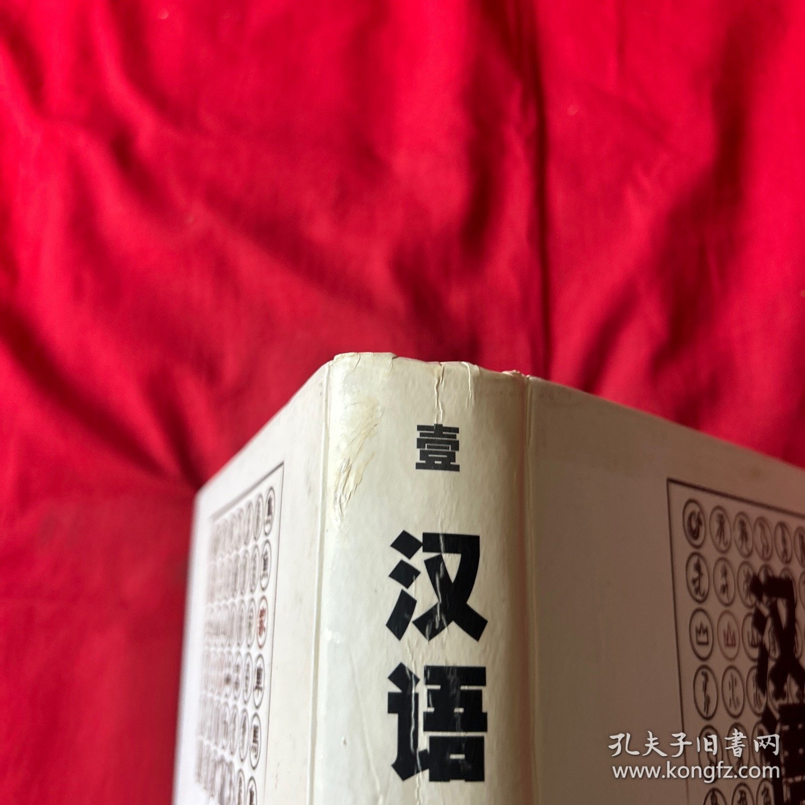 汉语大字典:简编本（1）