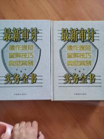 最新审计操作规范·查弊技巧·典型案例实务全书，上下册