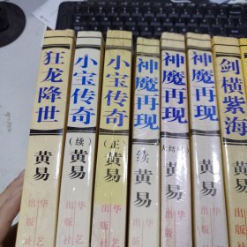 黄易作品集 玄幻系列9册