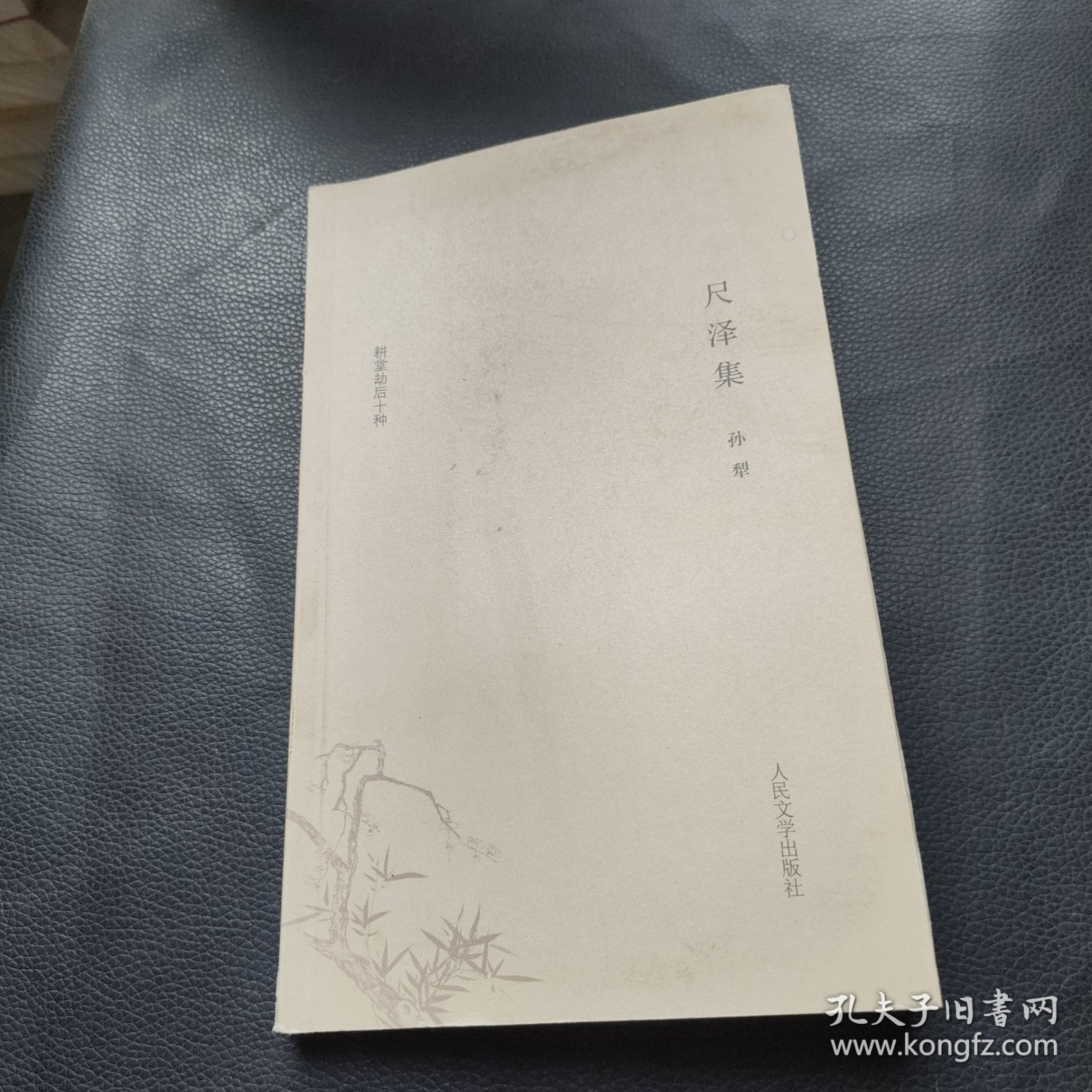 耕堂劫后十种尺泽集