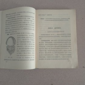 动物学