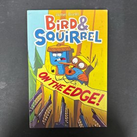 Bird&SquirrelontheEdge!