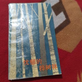 优郁的桦树林