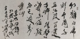 徐培晨，1951年生，江苏省沛县人。南京师范大学美术学院教授、博士生导师，博士后流动站合作导师（美术学），第十届江苏省政协委员，中国美术家协会会员，中国人民对外友好协会友好艺术交流院副院长，中央文史研究馆书画院研究员，江苏省委、省政府决策咨询基地——江苏省艺术强省建设研究基地首席专家，江苏省文史研究馆馆员，江苏省花鸟画研究会会长。书法（诗6）一幅68x138纸本软片。保真包退。
