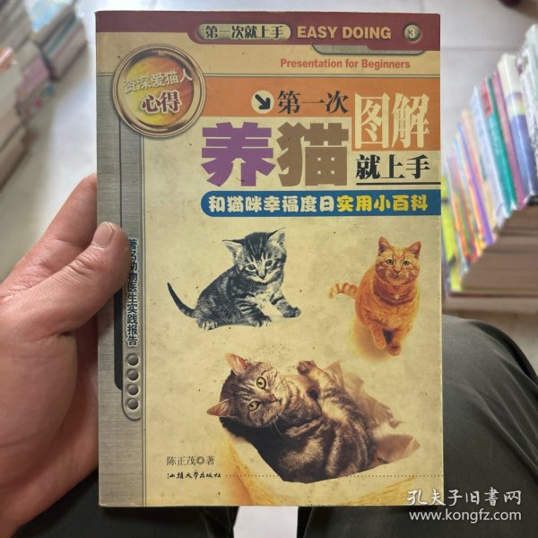 第一次养猫就上手