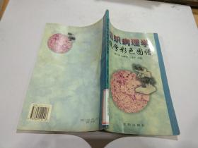 組織病理學(xué)教學(xué)彩色圖譜