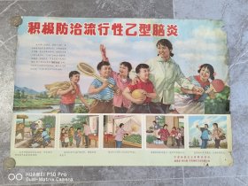 七十年代对开二开老年画宣传画。积极防治流行性乙型脑炎。浙江宁波地区卫生宣传。7552厘米。包老保真怀旧特价处理