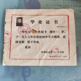 1977年哈乐滨市七十七中学毕业证书