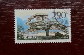 1995—20（6—6），凤凰古松290分信销票。货号03