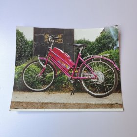 38 彩色照片 野马 电动自行车照片