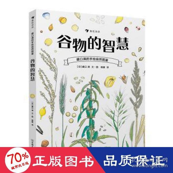  盛口满的手绘自然图鉴：谷物的智慧