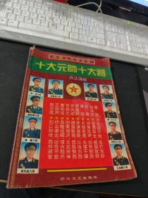 十大元帅十大将