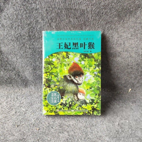 动物小说大王沈石溪：王妃黑叶猴