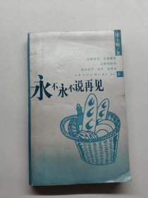 永不永不说再见