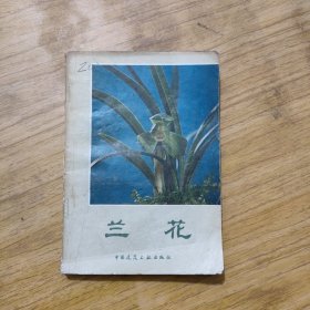 兰花 沈渊如 沈荫椿著 1984年1版1印