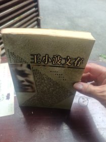王小波文存