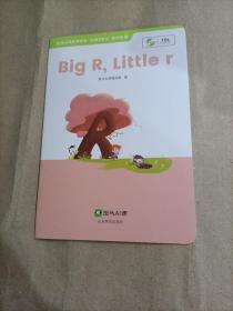 斑马Al课  Big R, Little r