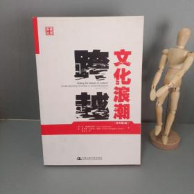 跨越文化浪潮：应对全球化经营中的文化差异