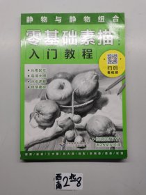 零基础素描入门教程：静物与静物组合