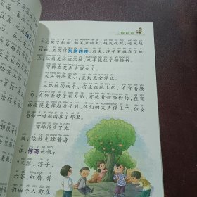 儿童文学名家名作美绘本：甜橙树（注音版）