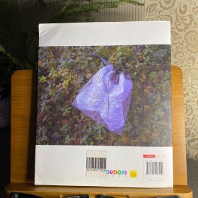 齐藤谣子的拼布教室:北欧印象