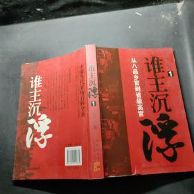 谁主沉浮1：从八品乡官到省级高官