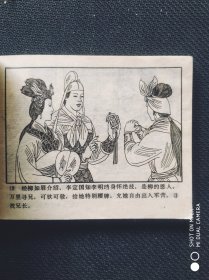 离乱鸳鸯，中国武术连环画，罗浮演义，4，大缺本