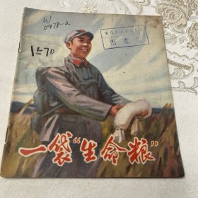 40开本连环画（一袋生命粮）