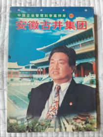 安徽古井集团（中国企业管理科学案例库之10）95品