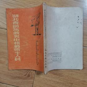 《湖北省防汛救灾中模范卫生人员》 孔网孤本 仅印3000册