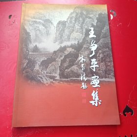 王争平画集