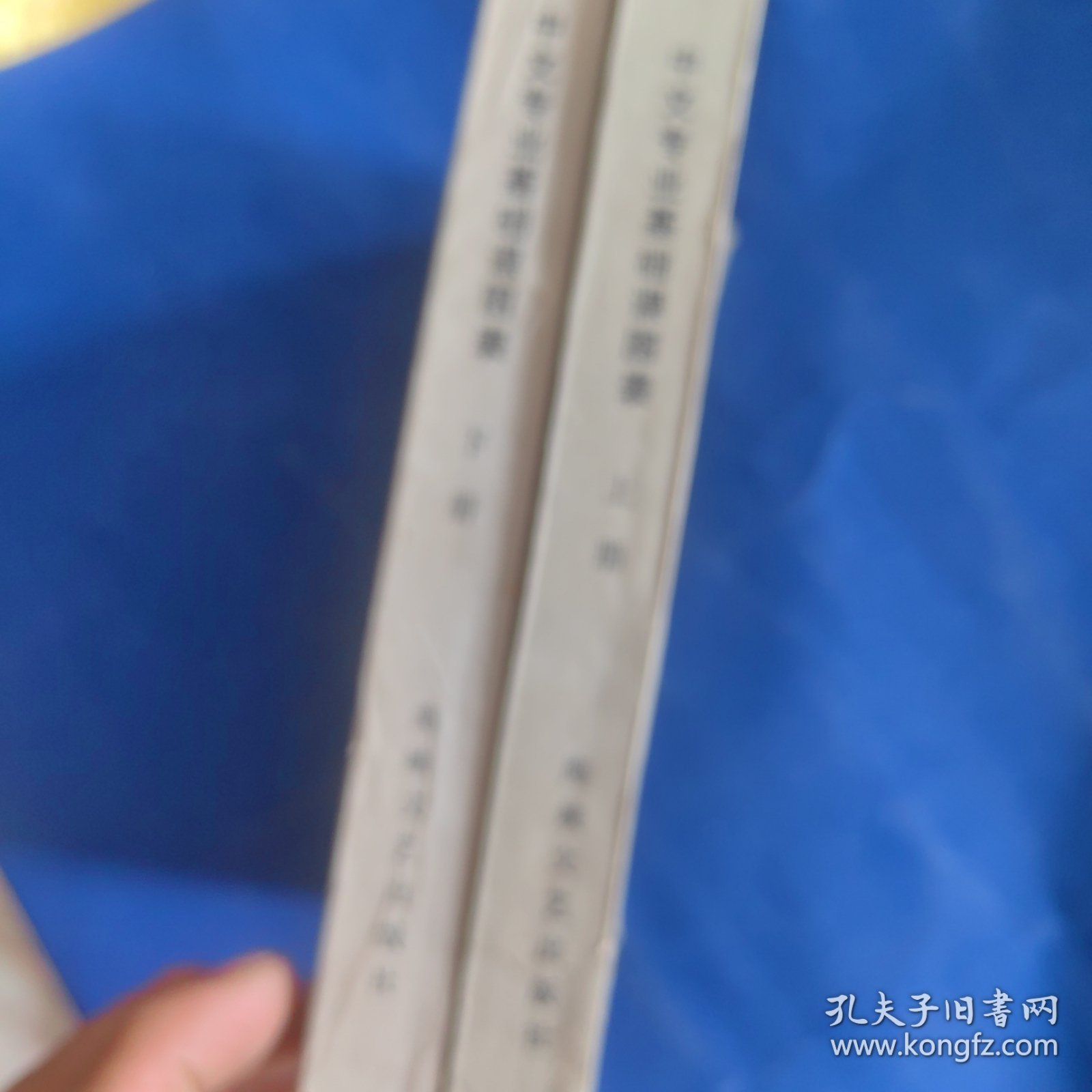 中文专业基础课图表（上下两册）