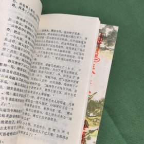神雕侠侣前传。金庸著作。