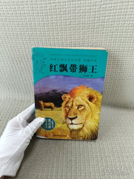 红飘带狮王