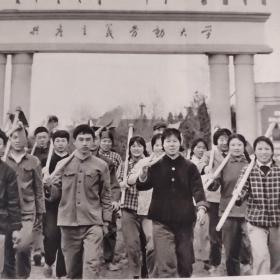 裁剪图片二张(约16开+略小于16开，拍前看好，介意勿拍)