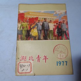 湖北青年1977年10期