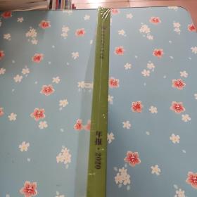 中国文化遗产研究院 年报 2020【全新未开封】