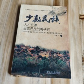 少数民族人才资源因族开发战略研究—理论建构及对红河哈尼族人才资源开发的实际分析