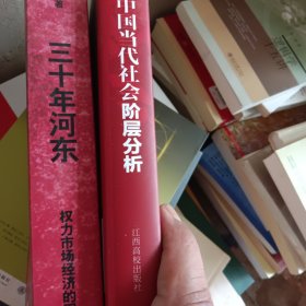 三十年河东：权力市场经济的困境，中国当代社会各阶层分析