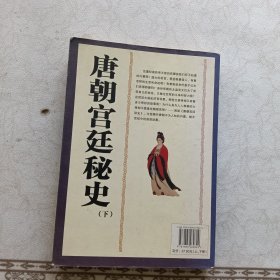 唐朝宫廷秘史 下册