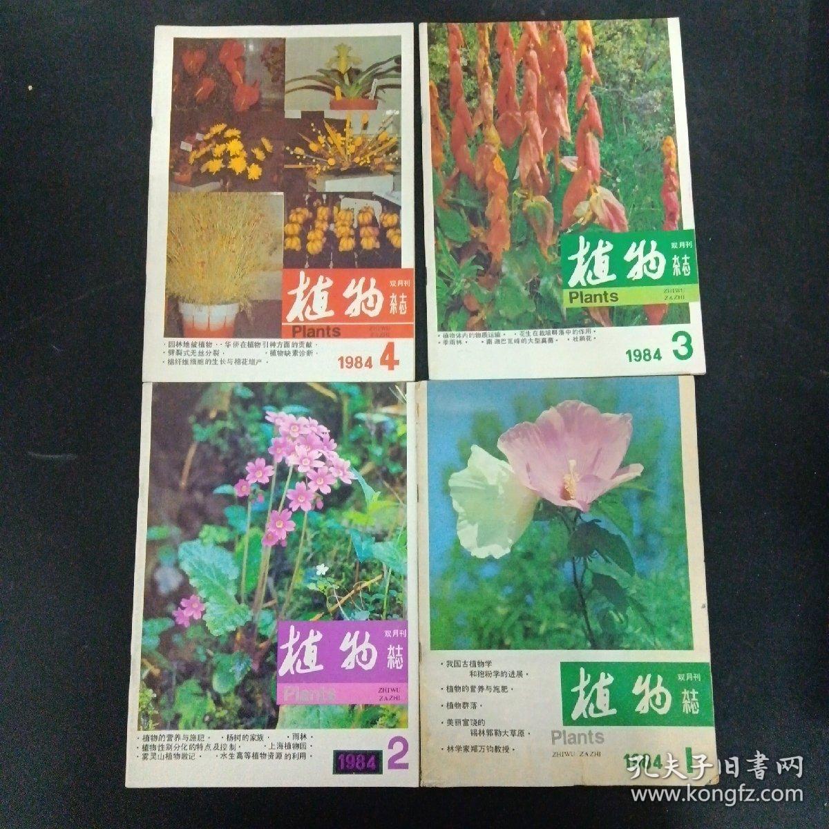 植物杂志 1984年 双月刊 第1-6期（第1、2、3、4、5、6期）共6本合售