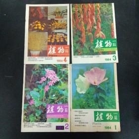 植物杂志 1984年 双月刊 第1-6期（第1、2、3、4、5、6期）共6本合售