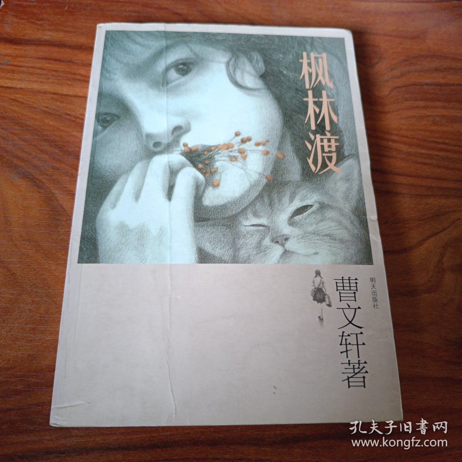 枫林渡
