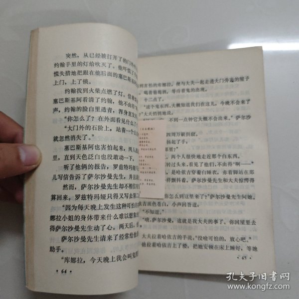 阿尔卑斯的小姑娘